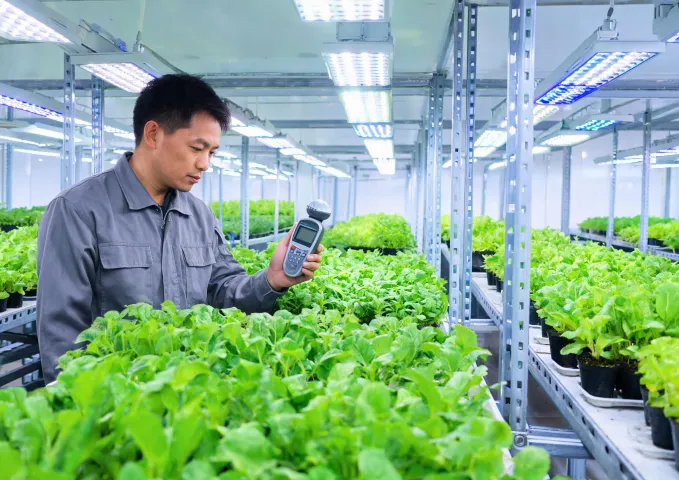 Grower checking plants under Mars Hydro lighting