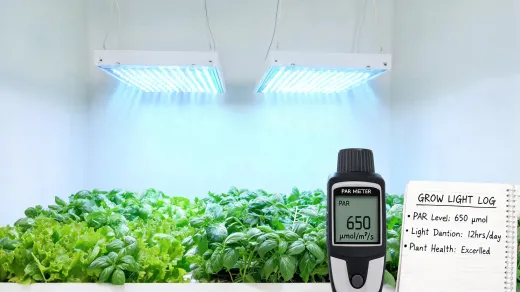Horticultural lighting article illustration