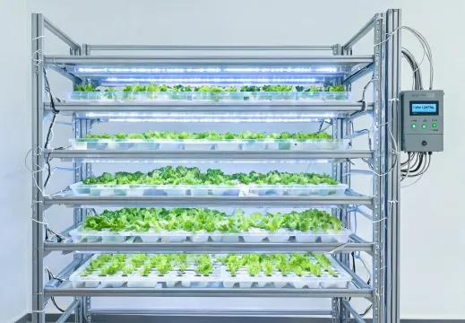 Vertical farm rack lighting with LED bars