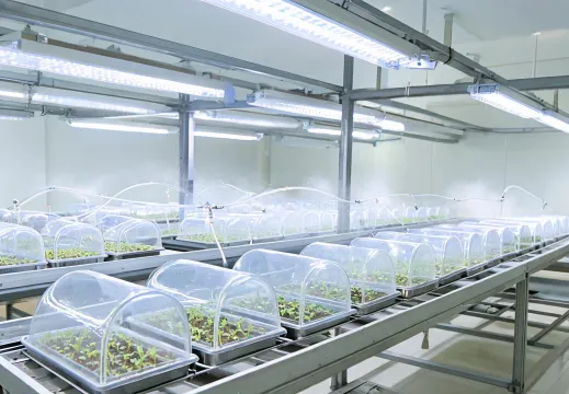 Propagation area under LED grow lights