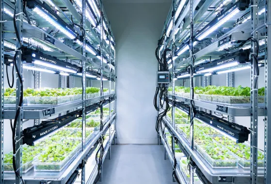 Vertical farm grow rack lighting case